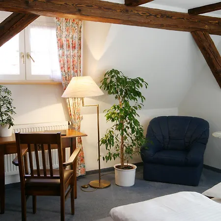 Hotel Engel 3*