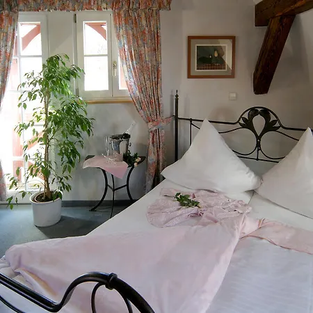 Hotel Engel 3*